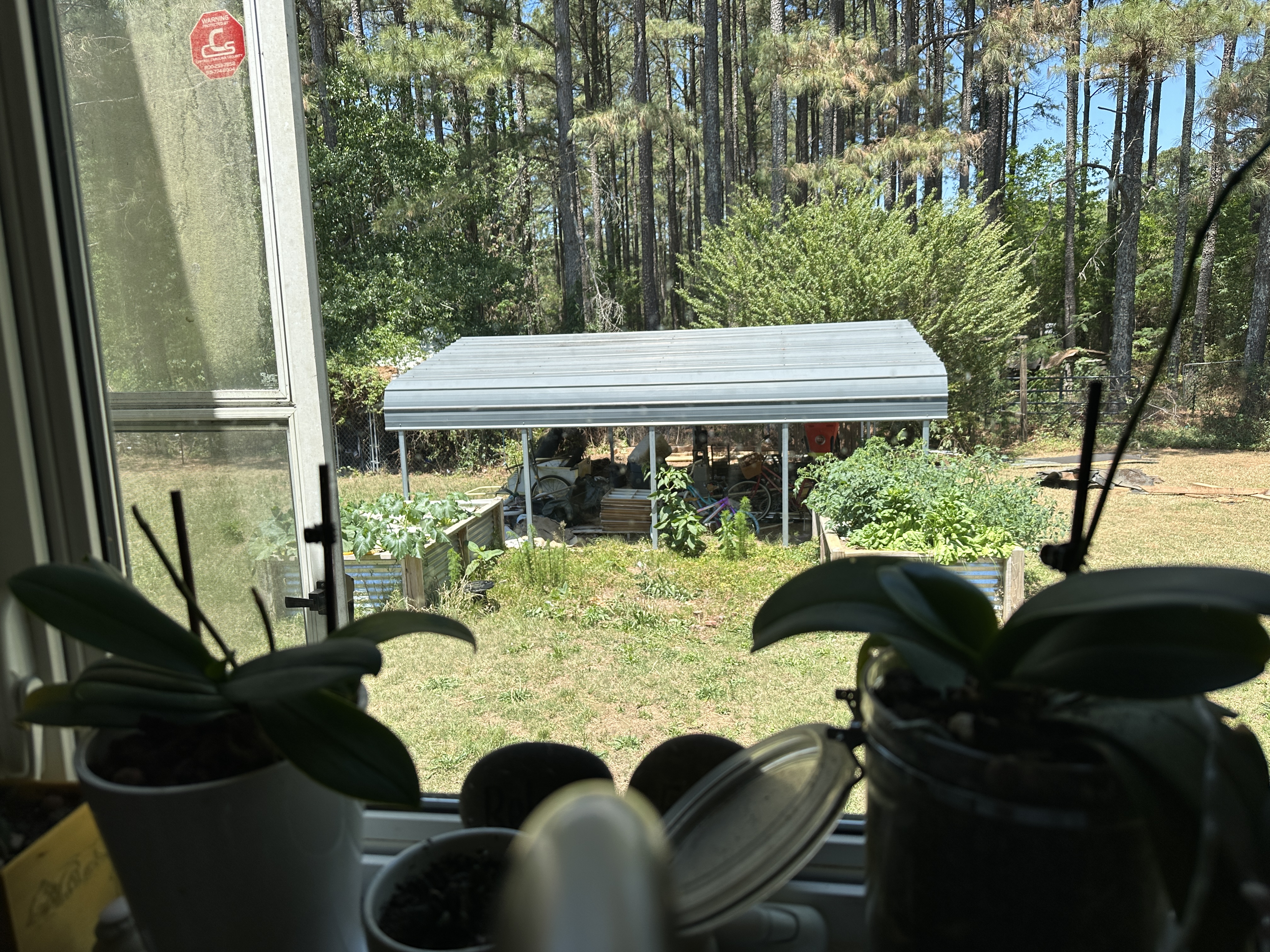 Shed Conversion